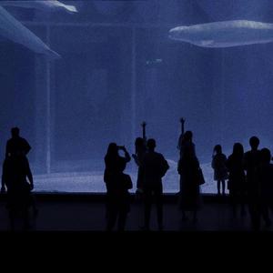 爆乳在线观看网址
