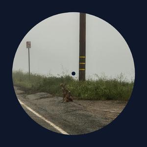 妲己❌爆乳❌妲己自慰
