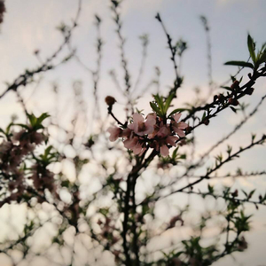 18🈲视频❌❌❌九幺
