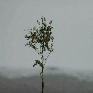 中国熟女裸体俱乐部
