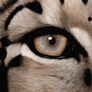 美女把逼给男人插
