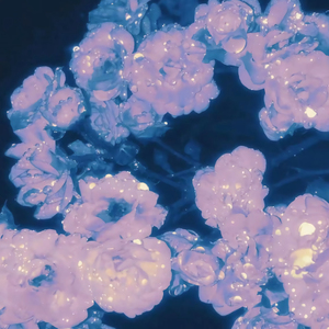 日韩人妻无码精品久久免费一
