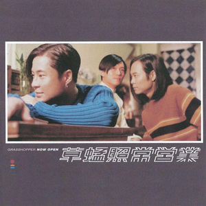 面板搜索小鲤导航
