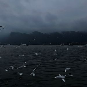 中文字幕在线视频第一页
