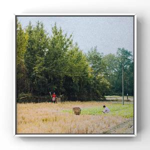 日韩人妻无码精品久久免费一
