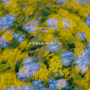 啊啊啊不要插欧美
