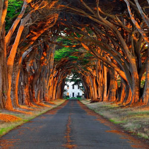 小和尚把荫蒂添得又大又硬
