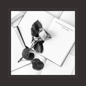 阿提斯괭嫖探륡
