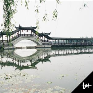 爆乳在线观看网址
