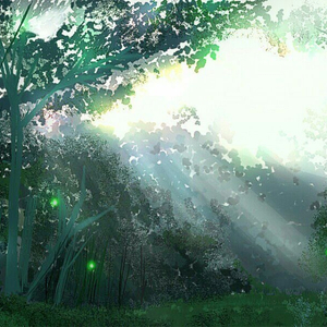 面板搜索小鲤导航
