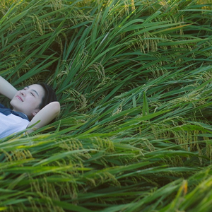 白峰美羽一级无码
