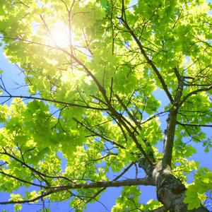 亚洲AV激情无码专区在线下载
