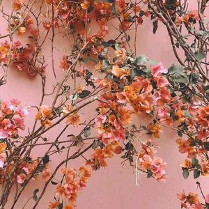 精品午夜寂寞黄网站
