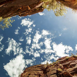 《泡在我家看漫画》黑田
