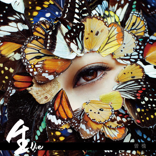 工作代理小狼导航
